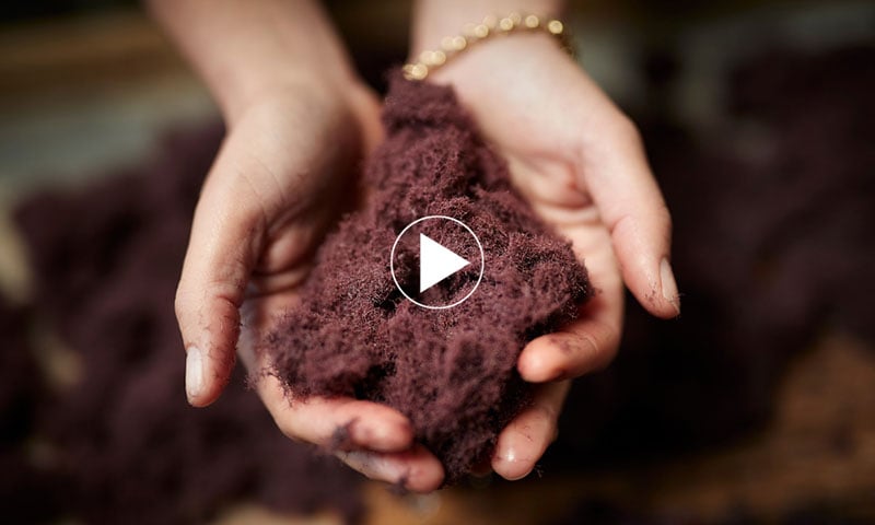 nl-phytomer-mars-2026-tv